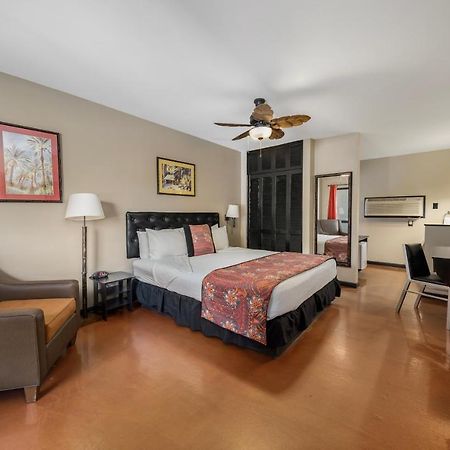 Caliente Tropics Hotel Palm Springs Bagian luar foto